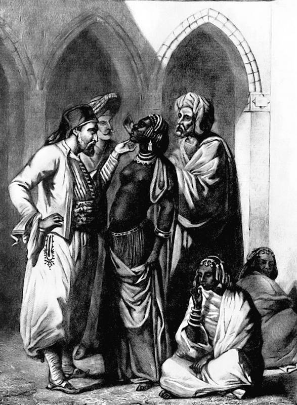 Иллюстрация к книге — Конец Великолепного века, или Загадки последних невольниц Востока [i_021.jpg]