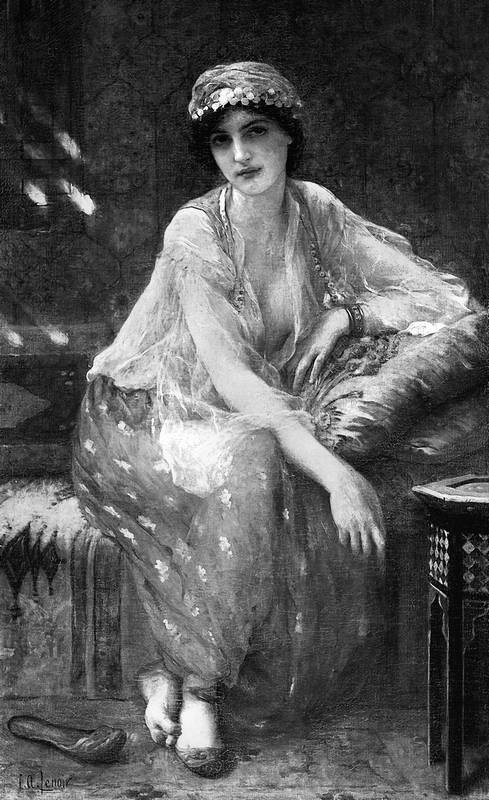 Иллюстрация к книге — Конец Великолепного века, или Загадки последних невольниц Востока [i_029.jpg]