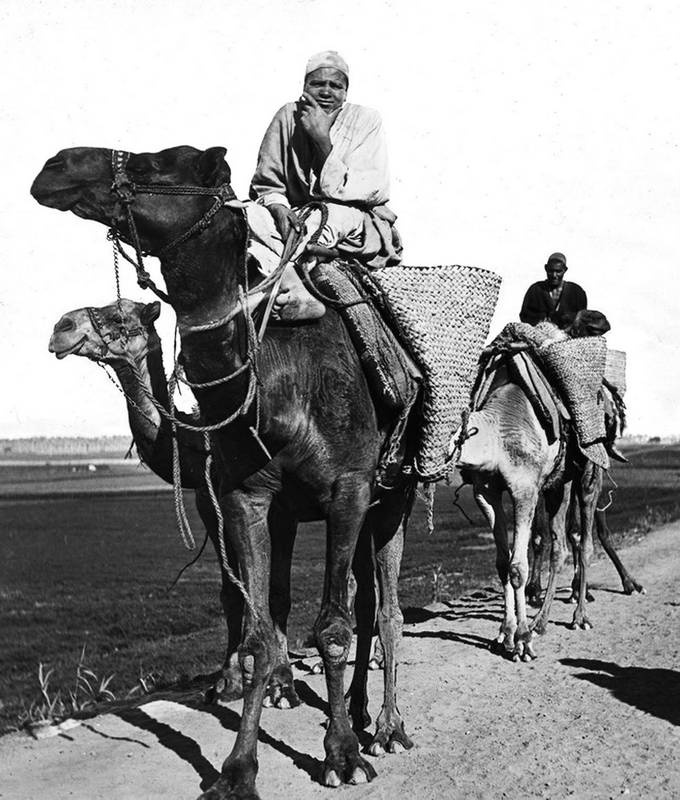 Иллюстрация к книге — Конец Великолепного века, или Загадки последних невольниц Востока [i_058.jpg]