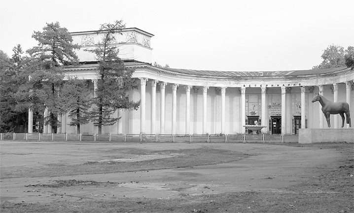 Иллюстрация к книге — Восьмое чудо света. ВСХВ-ВДНХ-ВВЦ [i_240.jpg]