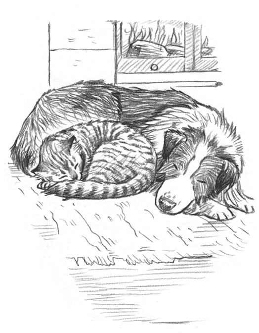 Иллюстрация к книге — Энджел. Котенок обретает дом [i_004.jpg]