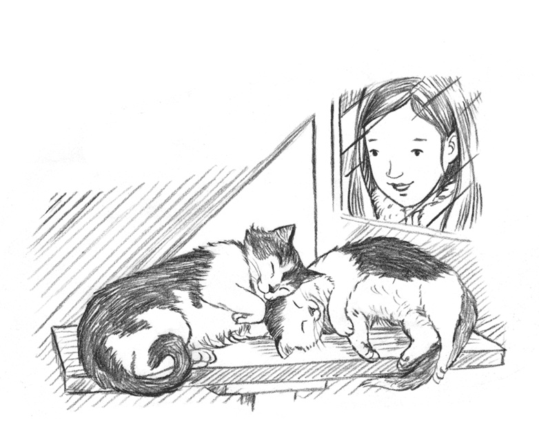 Иллюстрация к книге — Энджел. Котенок обретает дом [i_007.jpg]