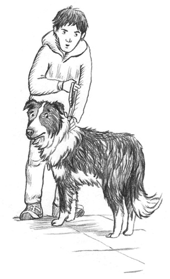 Иллюстрация к книге — Энджел. Котенок обретает дом [i_014.jpg]