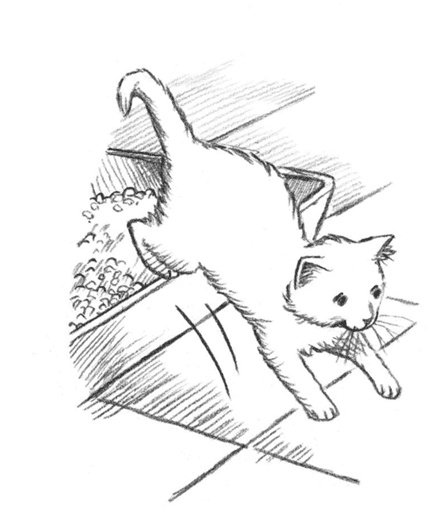 Иллюстрация к книге — Энджел. Котенок обретает дом [i_015.jpg]