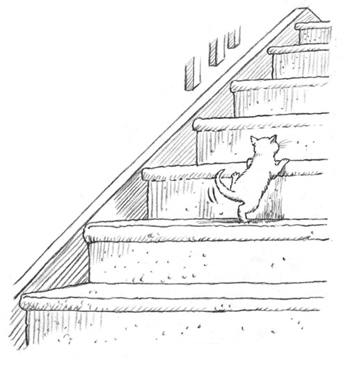 Иллюстрация к книге — Энджел. Котенок обретает дом [i_018.jpg]