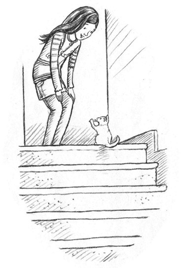 Иллюстрация к книге — Энджел. Котенок обретает дом [i_019.jpg]