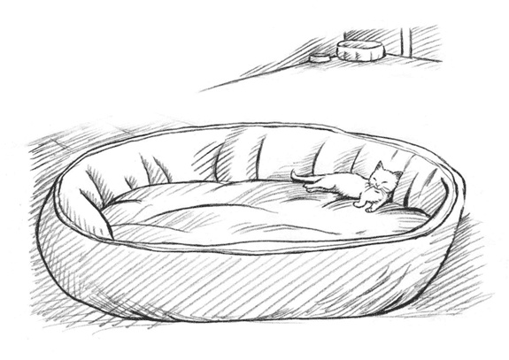 Иллюстрация к книге — Энджел. Котенок обретает дом [i_022.jpg]