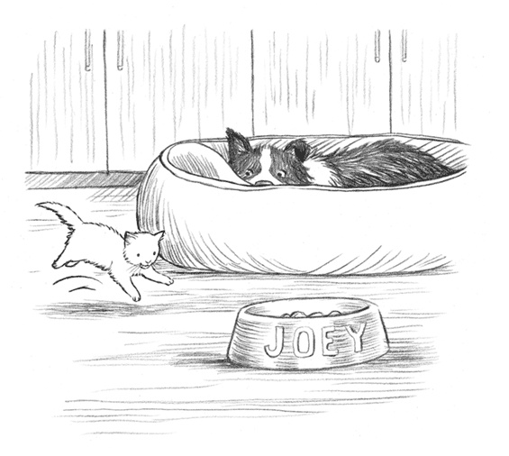 Иллюстрация к книге — Энджел. Котенок обретает дом [i_038.jpg]