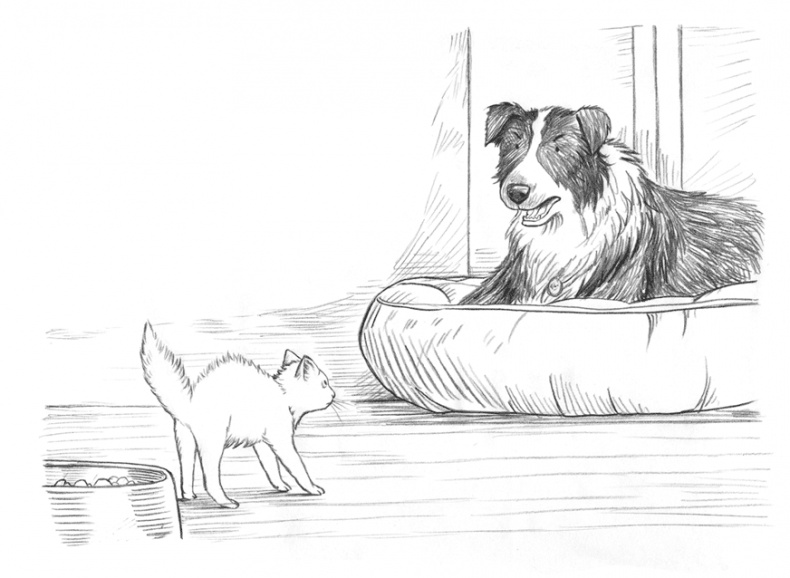 Иллюстрация к книге — Энджел. Котенок обретает дом [i_039.jpg]