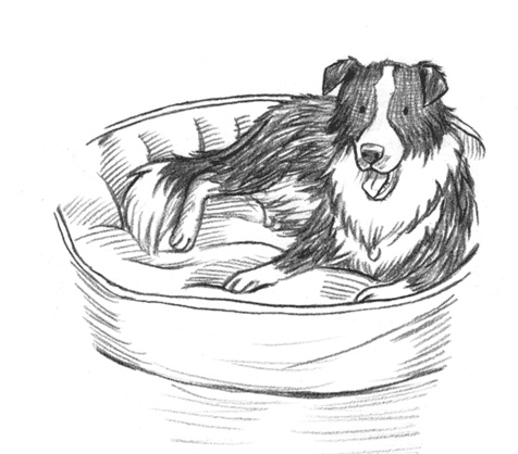 Иллюстрация к книге — Энджел. Котенок обретает дом [i_042.jpg]