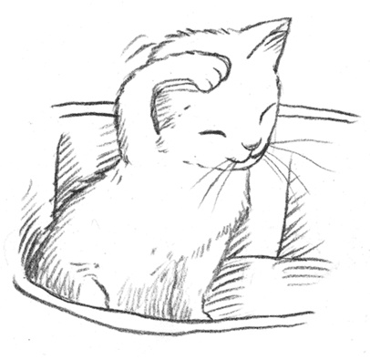 Иллюстрация к книге — Энджел. Котенок обретает дом [i_045.jpg]