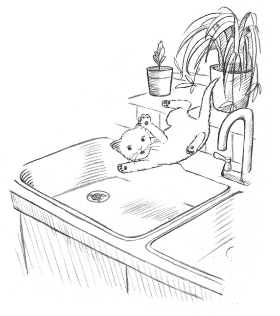 Иллюстрация к книге — Энджел. Котенок обретает дом [i_052.jpg]