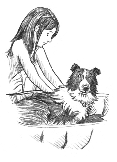 Иллюстрация к книге — Энджел. Котенок обретает дом [i_060.jpg]