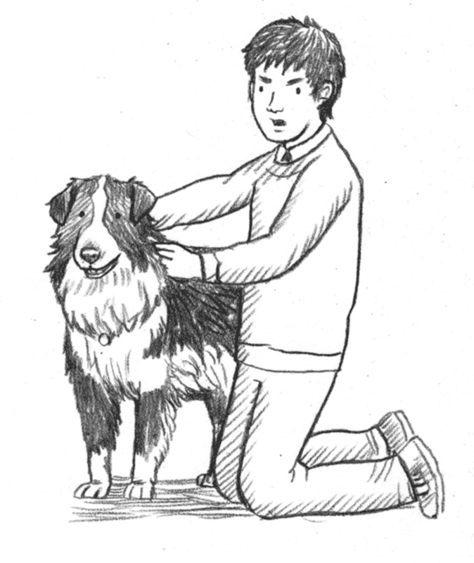 Иллюстрация к книге — Энджел. Котенок обретает дом [i_062.jpg]