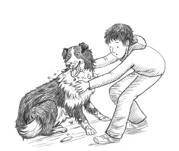 Иллюстрация к книге — Энджел. Котенок обретает дом [i_079.jpg]