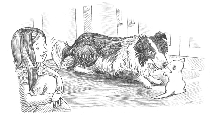 Иллюстрация к книге — Энджел. Котенок обретает дом [i_082.jpg]