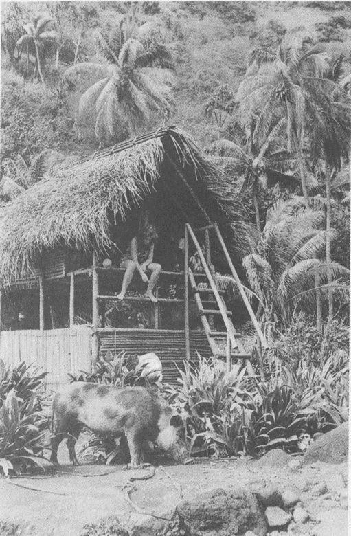 Иллюстрация к книге — Тур Хейердал. Биография. Книга 1. Человек и океан [i_026.jpg]