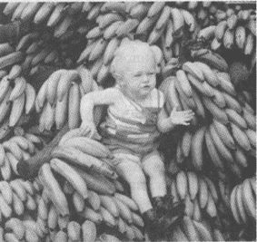 Иллюстрация к книге — Тур Хейердал. Биография. Книга 1. Человек и океан [i_048.jpg]