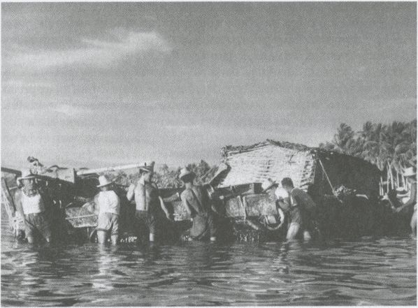 Иллюстрация к книге — Тур Хейердал. Биография. Книга 2. Человек и мир [i_005.jpg]