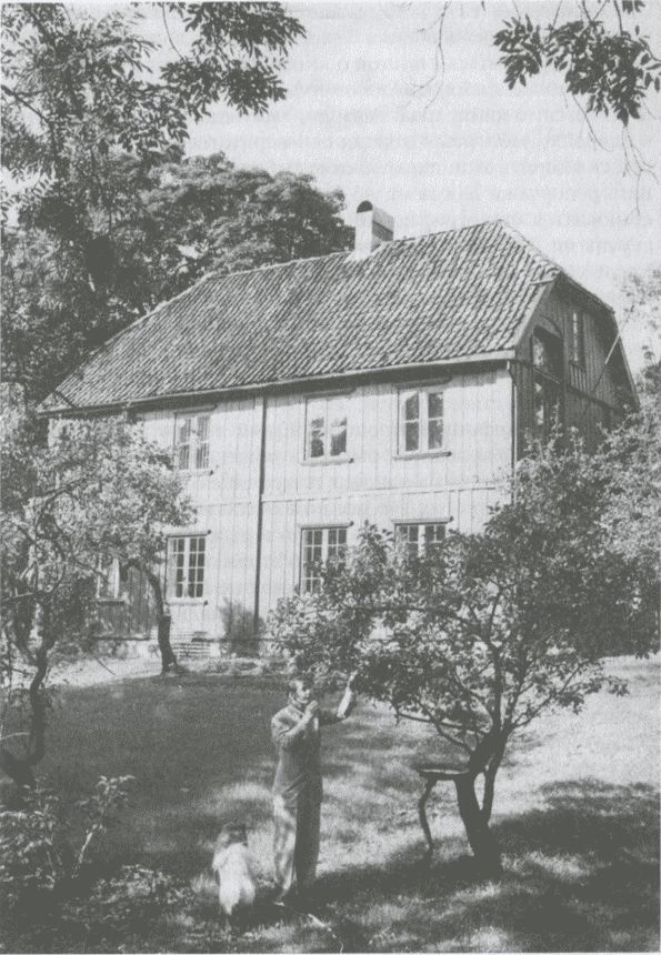 Иллюстрация к книге — Тур Хейердал. Биография. Книга 2. Человек и мир [i_036.jpg]