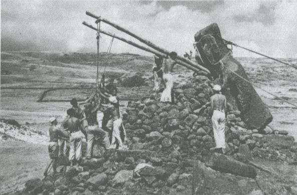 Иллюстрация к книге — Тур Хейердал. Биография. Книга 2. Человек и мир [i_052.jpg]