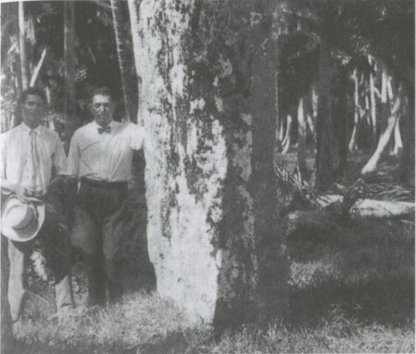 Иллюстрация к книге — Тур Хейердал. Биография. Книга 2. Человек и мир [i_072.jpg]