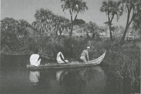 Иллюстрация к книге — Тур Хейердал. Биография. Книга 2. Человек и мир [i_084.jpg]