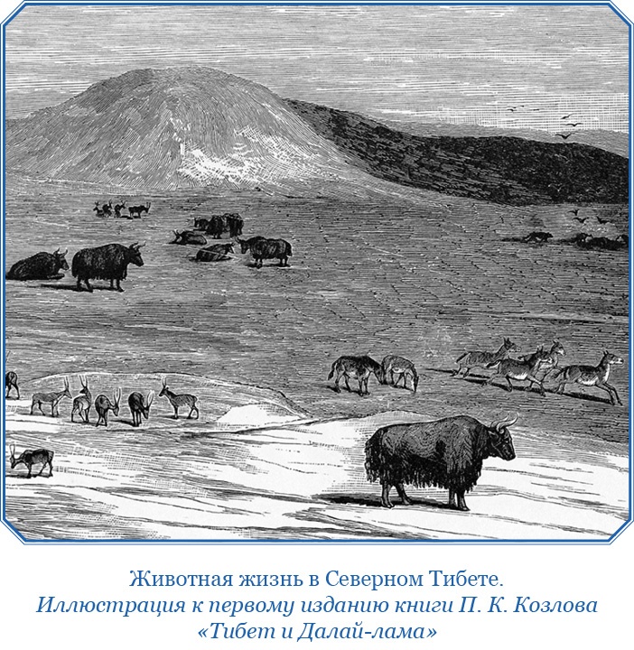 Иллюстрация к книге — Тибет и Далай-лама. Мертвый город Хара-Хото [i_011.jpg]
