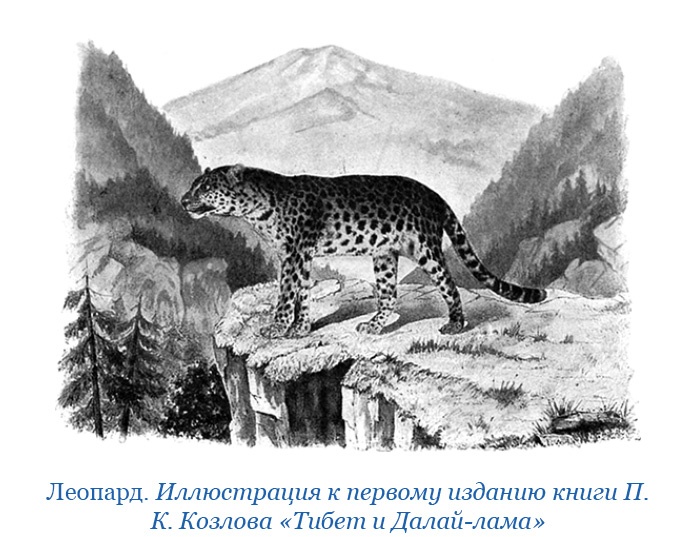 Иллюстрация к книге — Тибет и Далай-лама. Мертвый город Хара-Хото [i_012.jpg]