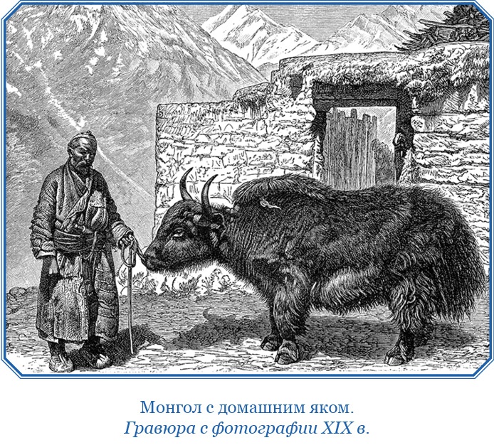 Иллюстрация к книге — Тибет и Далай-лама. Мертвый город Хара-Хото [i_014.jpg]