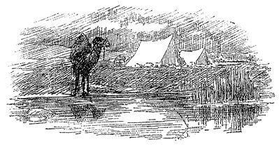 Иллюстрация к книге — Тибет и Далай-лама. Мертвый город Хара-Хото [i_046.jpg]