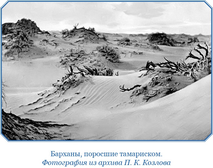Иллюстрация к книге — Тибет и Далай-лама. Мертвый город Хара-Хото [i_047.jpg]