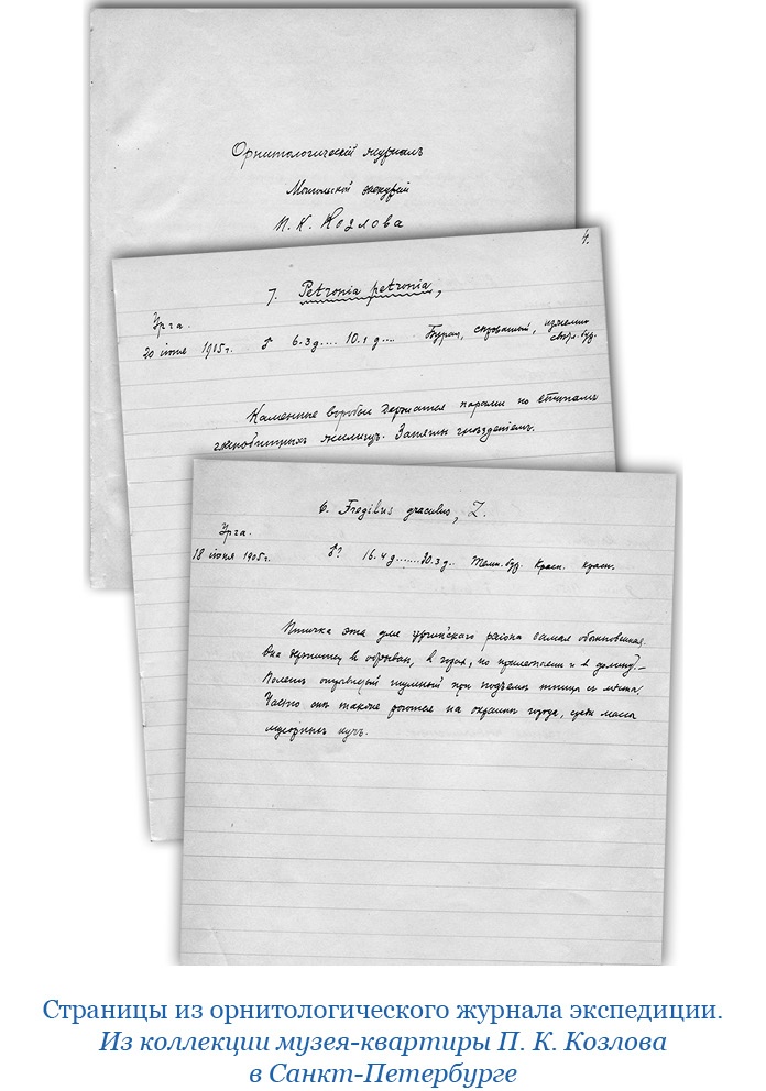 Иллюстрация к книге — Тибет и Далай-лама. Мертвый город Хара-Хото [i_115.jpg]