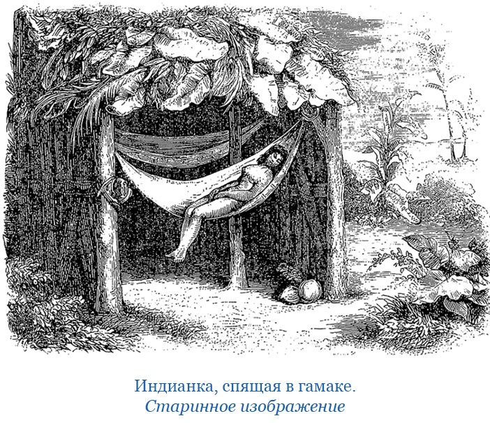 Иллюстрация к книге — Путешествия. Дневники. Воспоминания [i_100.jpg]