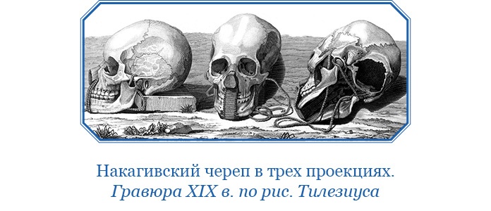 Иллюстрация к книге — Первое российское плавание вокруг света [i_040.jpg]