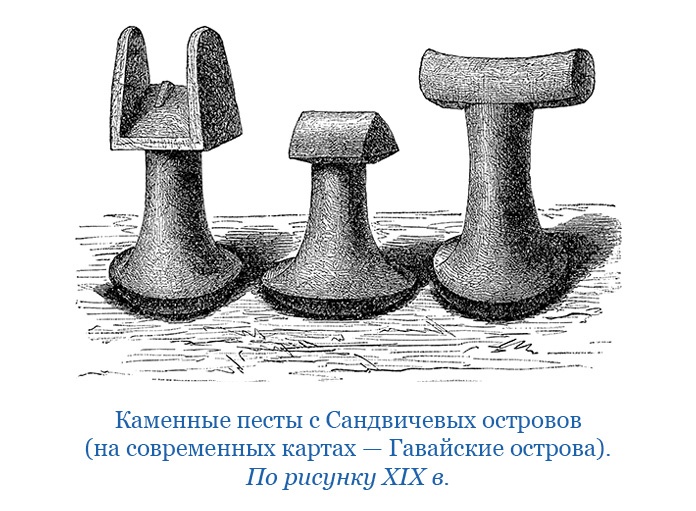 Иллюстрация к книге — Первое российское плавание вокруг света [i_046.jpg]