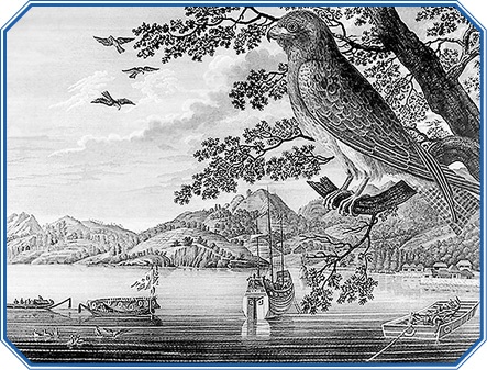 Иллюстрация к книге — Первое российское плавание вокруг света [i_071.jpg]