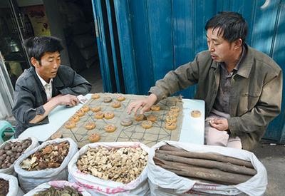 Иллюстрация к книге — Жизнь в дороге [i_012.jpg]