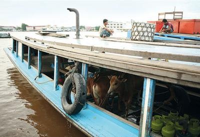 Иллюстрация к книге — Жизнь в дороге [i_032.jpg]