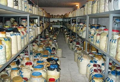 Иллюстрация к книге — Жизнь в дороге [i_052.jpg]