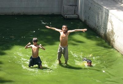 Иллюстрация к книге — Жизнь в дороге [i_072.jpg]