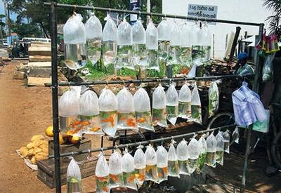 Иллюстрация к книге — Жизнь в дороге [i_092.jpg]