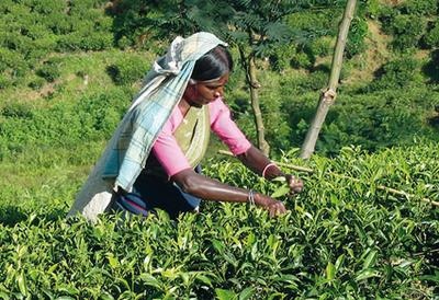 Иллюстрация к книге — Жизнь в дороге [i_093.jpg]