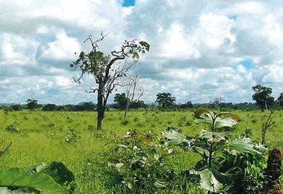 Иллюстрация к книге — Жизнь в дороге [i_097.jpg]