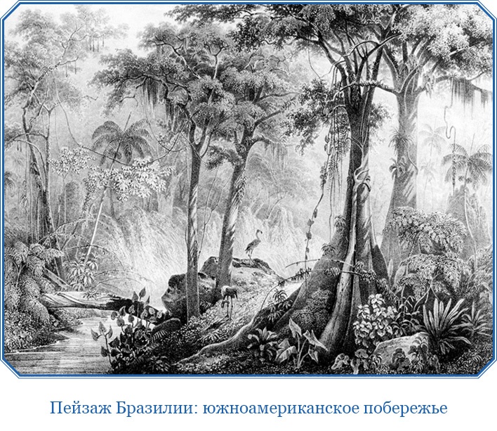 Иллюстрация к книге — Первое кругосветное плавание [i_047.jpg]