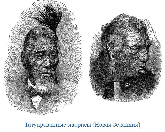 Иллюстрация к книге — Первое кругосветное плавание [i_078.jpg]