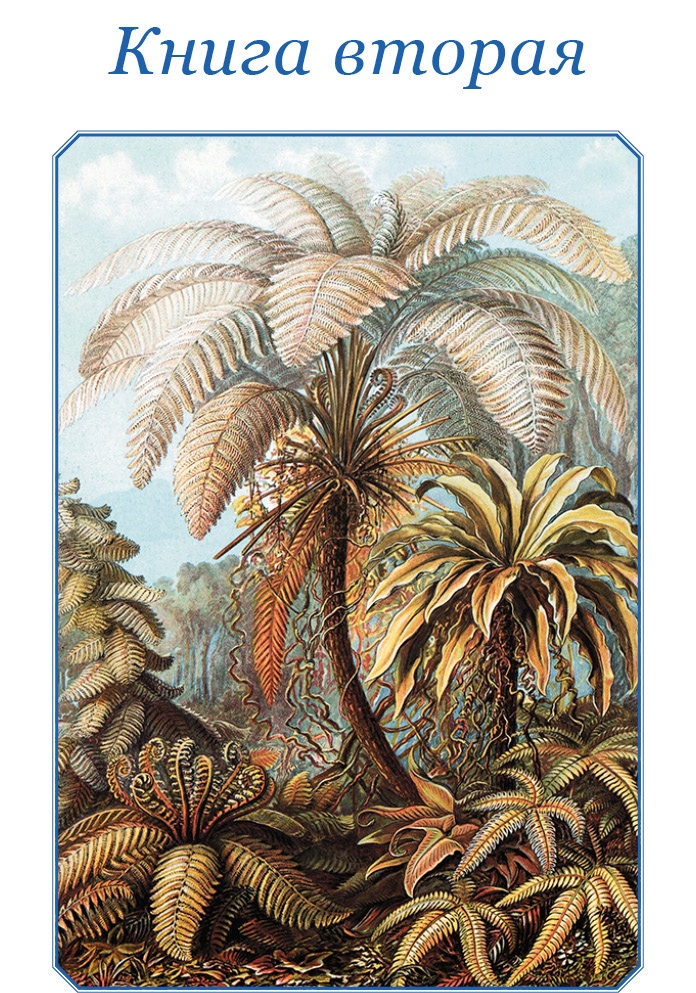 Иллюстрация к книге — Первое кругосветное плавание [i_083.jpg]