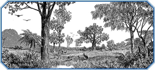 Иллюстрация к книге — Первое кругосветное плавание [i_093.jpg]