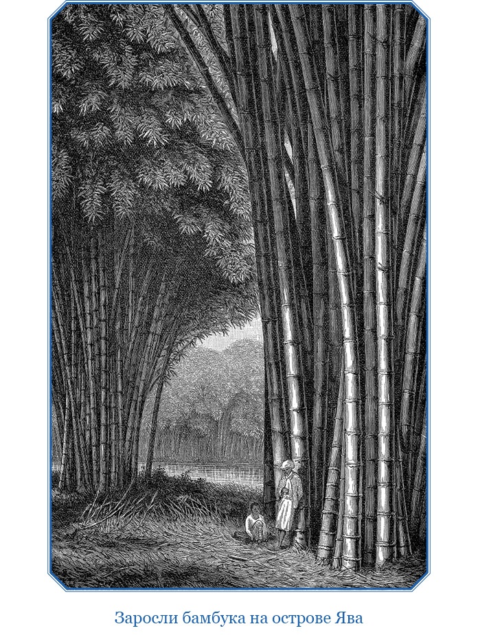 Иллюстрация к книге — Первое кругосветное плавание [i_119.jpg]