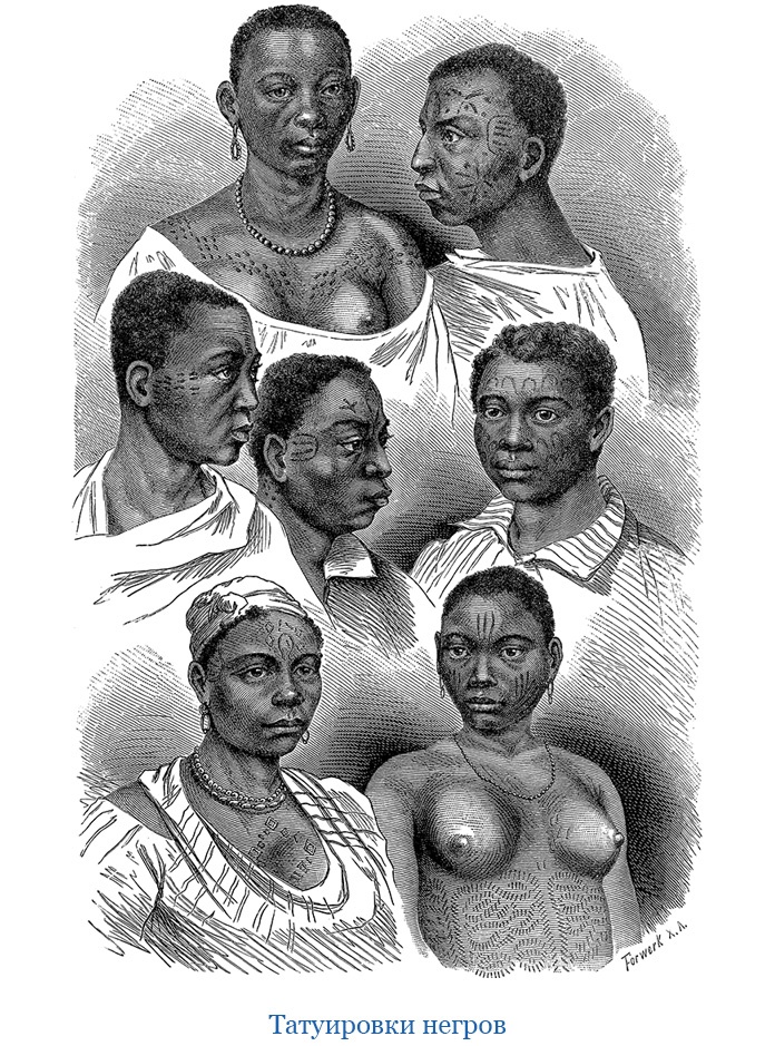 Иллюстрация к книге — Первое кругосветное плавание [i_122.jpg]